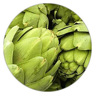 Artichoke Extract in ProstaVive