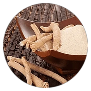 Ashwagandha in ProstaVive