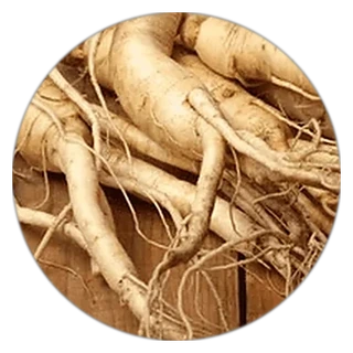 Panax Ginseng in ProstaVive