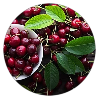 Red Tart Cherry Extract in the Yu Sleep formula