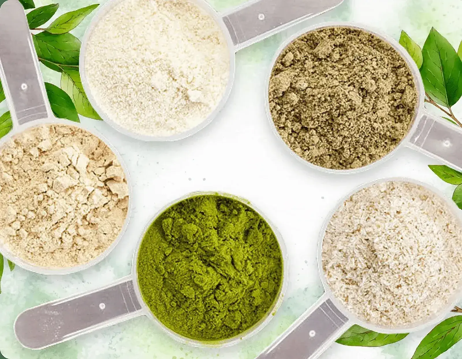 The natural ingredients in the ProDentim oral care probiotic blend